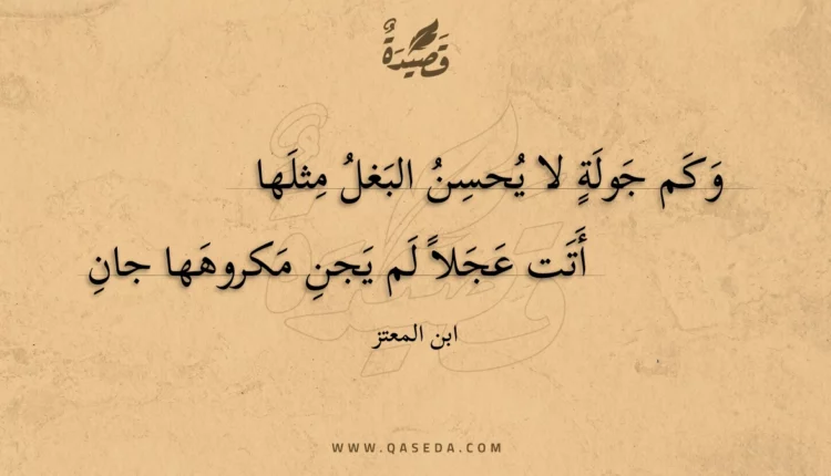 قصيدة وكم جولة لا يحسن البغل مثلها
