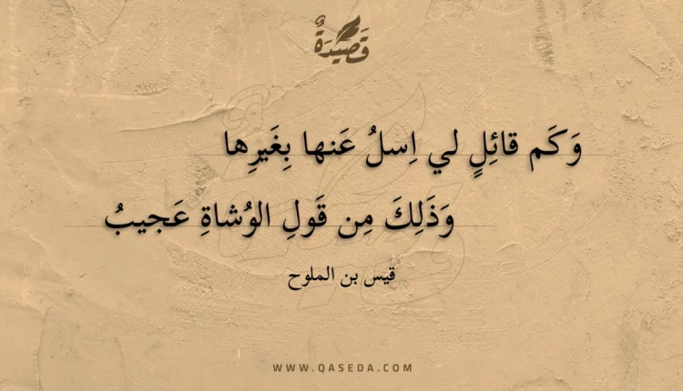 قصيدة وكم قائل لي اسل عنها بغيرها