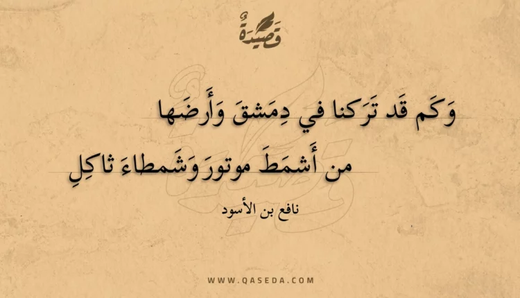 قصيدة وكم قد تركنا في دمشق وأرضها