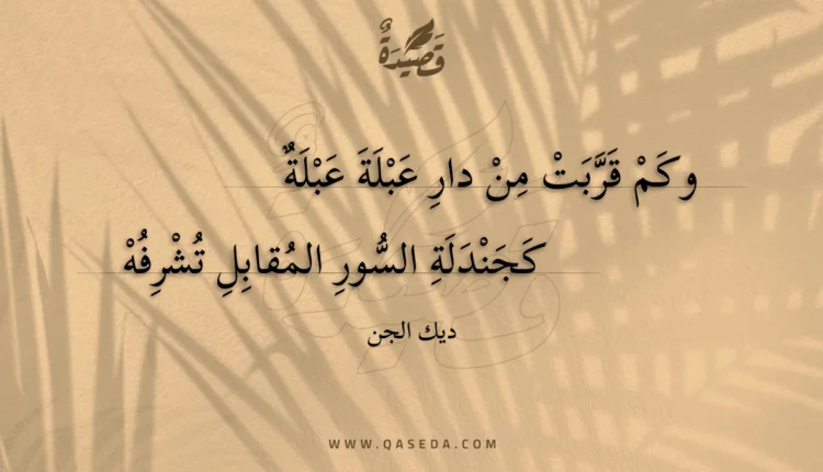 قصيدة وكم قربت من دار عبلة عبلة