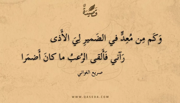 قصيدة وكم من معد في الضمير لي الأذى
