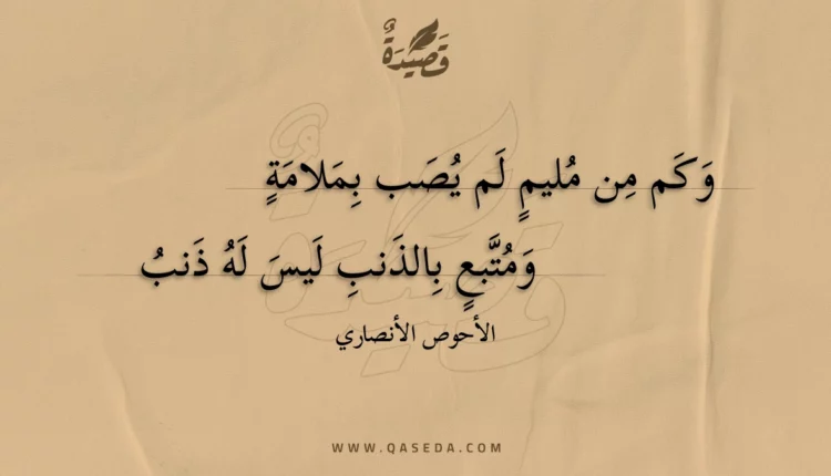 قصيدة وكم من مليم لم يصب بملامة