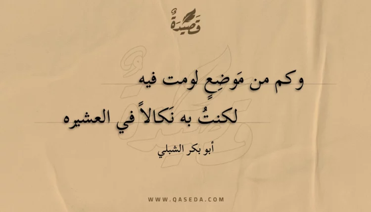 قصيدة وكم من موضع لومت فيه