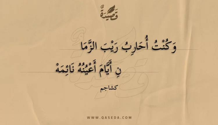 قصيدة وكنت أحارب ريب الزمان