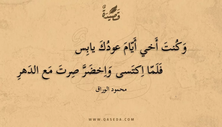 قصيدة وكنت أخي أيام عودك يابس