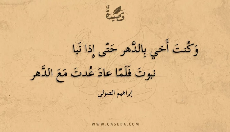 قصيدة وكنت أخي بالدهر حتى إذا نبا