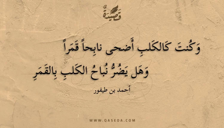 قصيدة وكنت كالكلب أضحى نابحا قمرا