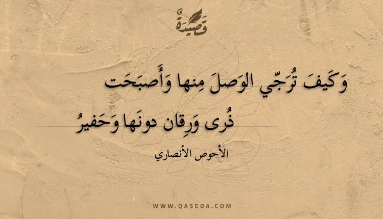 قصيدة وكيف ترجي الوصل منها وأصبحت