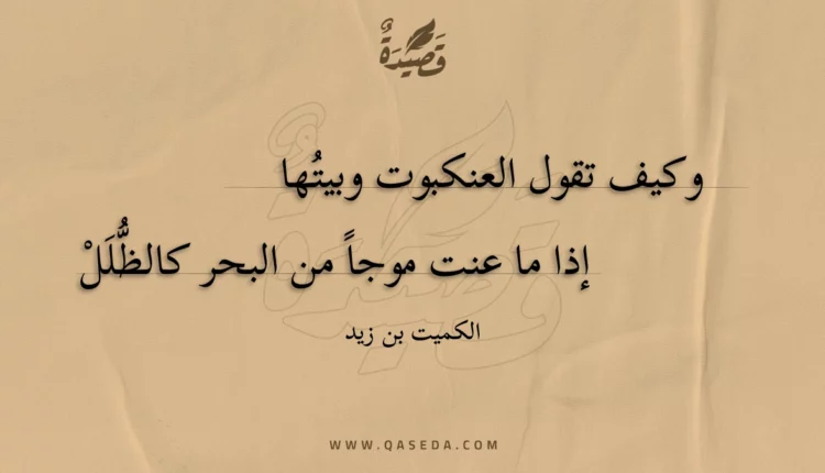 قصيدة وكيف تقول العنكبوت وبيتها
