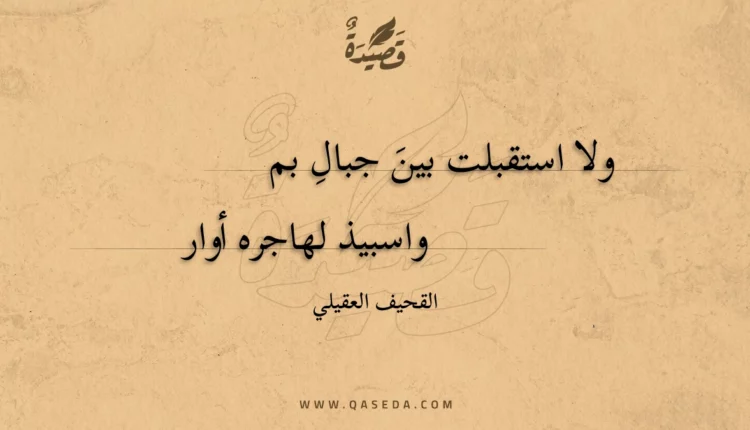 قصيدة ولا استقبلت بين جبال بم