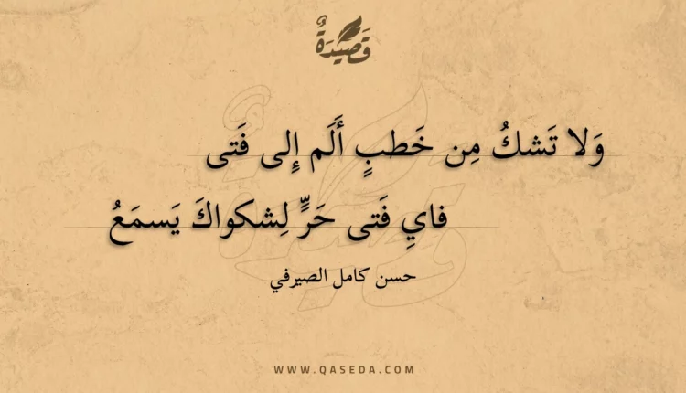 قصيدة ولا تشك من خطب ألم إلى فتى