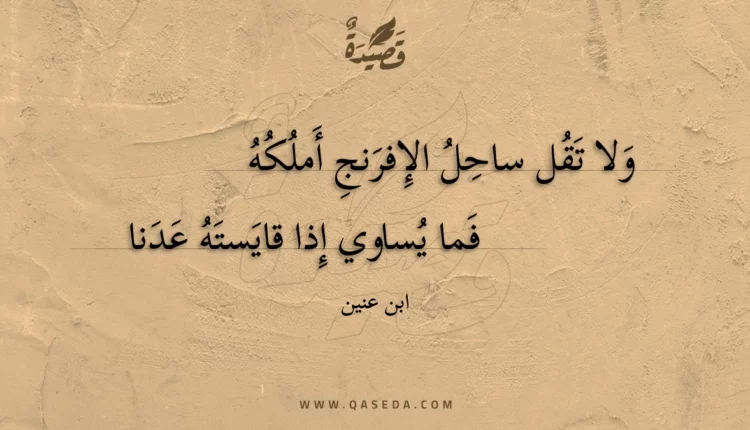 قصيدة ولا تقل ساحل الإفرنج أملكه