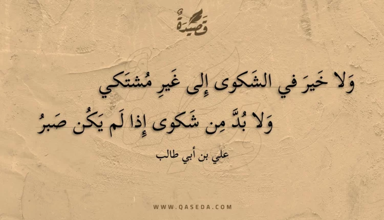 قصيدة ولا خير في الشكوى إلى غير مشتكي