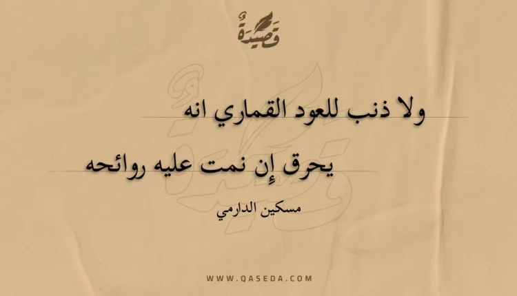 قصيدة ولا ذنب للعود القماري انه