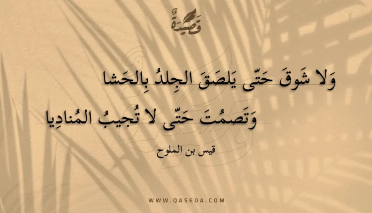 قصيدة ولا شوق حتى يلصق الجلد بالحشا