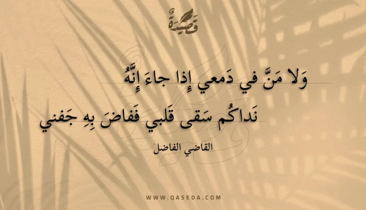 قصيدة ولا من في دمعي إذا جاء إنه
