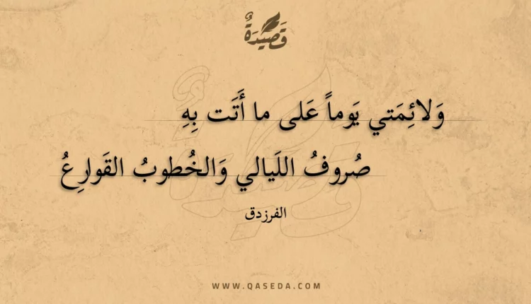 قصيدة ولائمتي يوما على ما أتت به
