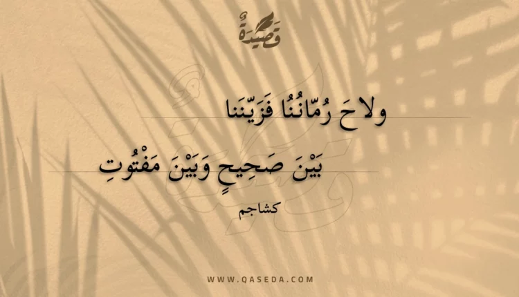 قصيدة ولاح رماننا فزيننا