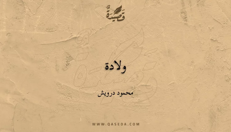 قصيدة ولادة