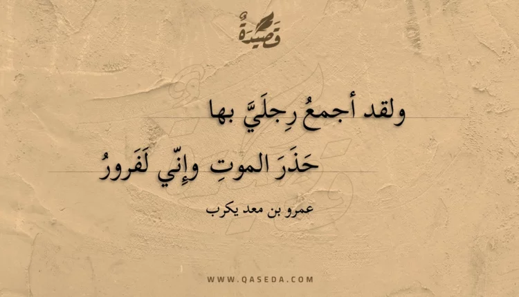 قصيدة ولقد أجمع رجلي بها