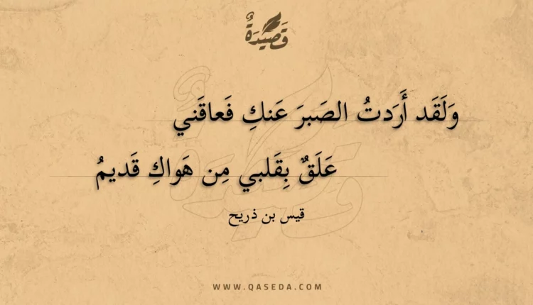 قصيدة ولقد أردت الصبر عنك فعاقني