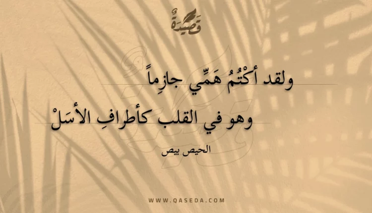 قصيدة ولقد أكتم همي جازما