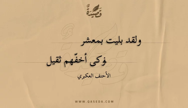قصيدة ولقد بليت بمعشر