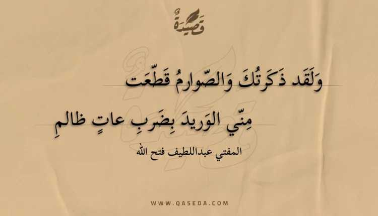 قصيدة ولقد ذكرتك والصوارم قطعت