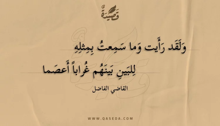 قصيدة ولقد رأيت وما سمعت بمثله
