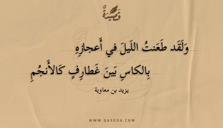 قصيدة ولقد طعنت الليل في أعجازه