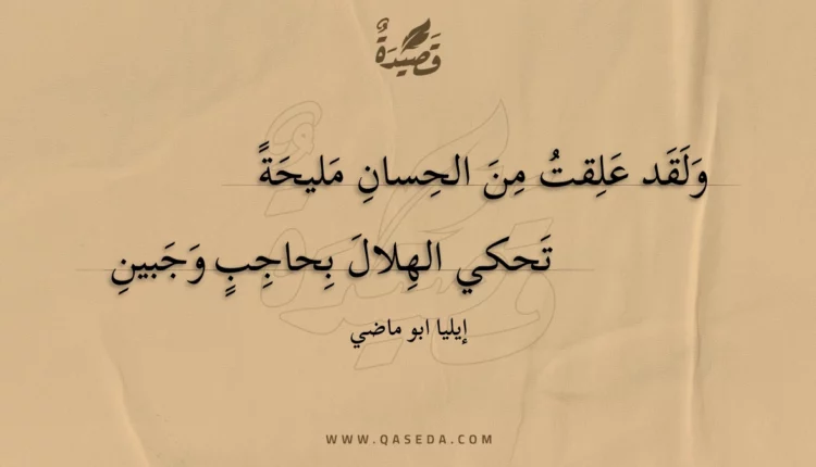 قصيدة ولقد علقت من الحسان مليحة