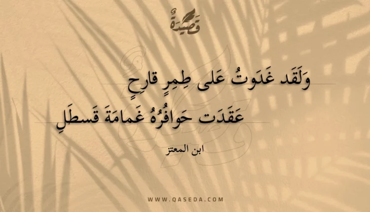 قصيدة ولقد غدوت على طمر قارح