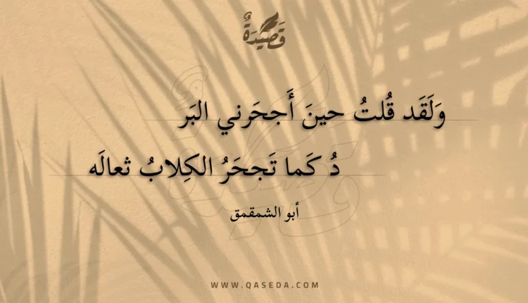 قصيدة ولقد قلت حين أجحرني البرد