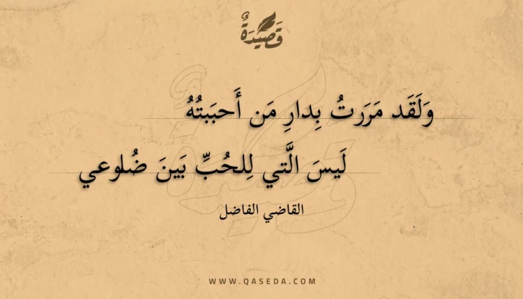 قصيدة ولقد مررت بدار من أحببته