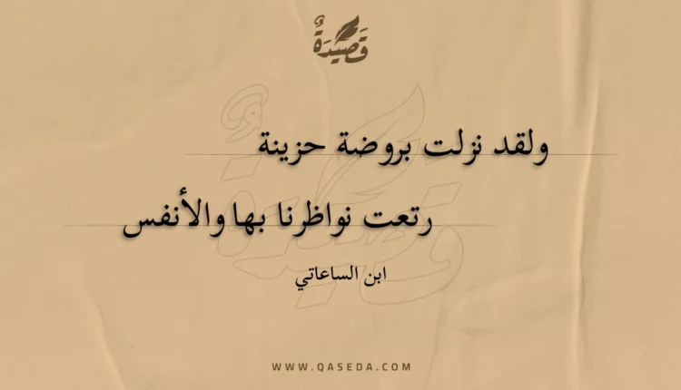 قصيدة ولقد نزلت بروضة حزينة