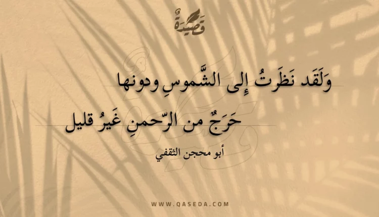قصيدة ولقد نظرت إلى الشموس ودونها