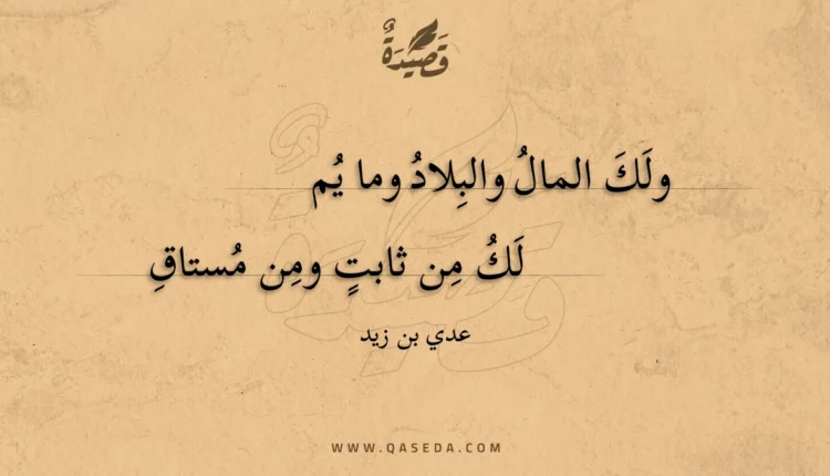 قصيدة ولك المال والبلاد وما يملك