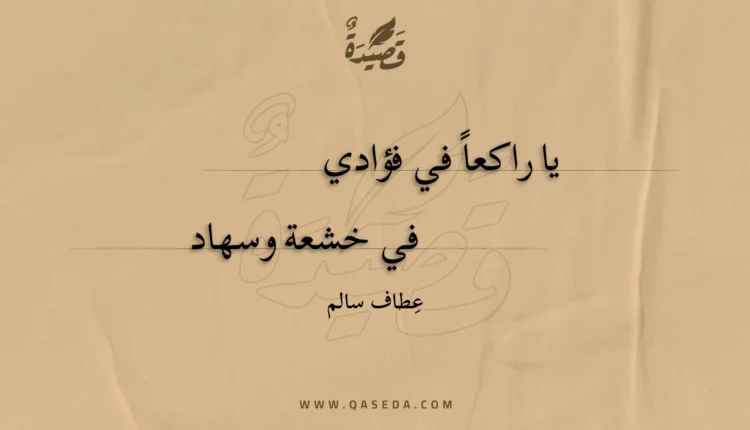 قصيدة ولكن !