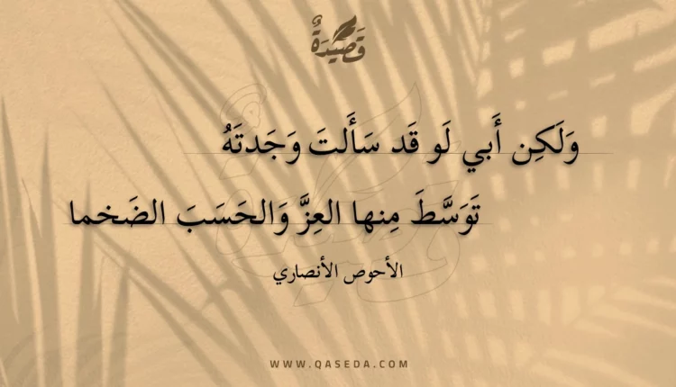 قصيدة ولكن أبي لو قد سألت وجدته