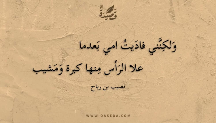 قصيدة ولكنني فاديت امي بعدما