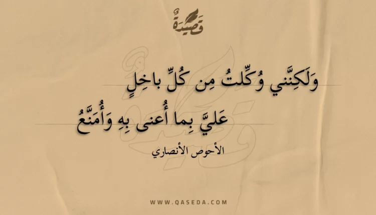 قصيدة ولكنني وكلت من كل باخل