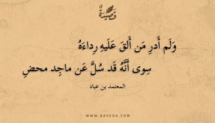 قصيدة ولم أدر من ألق عليه رداءه