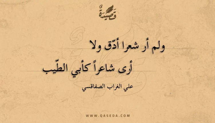 قصيدة ولم أر شعرا أدق ولا