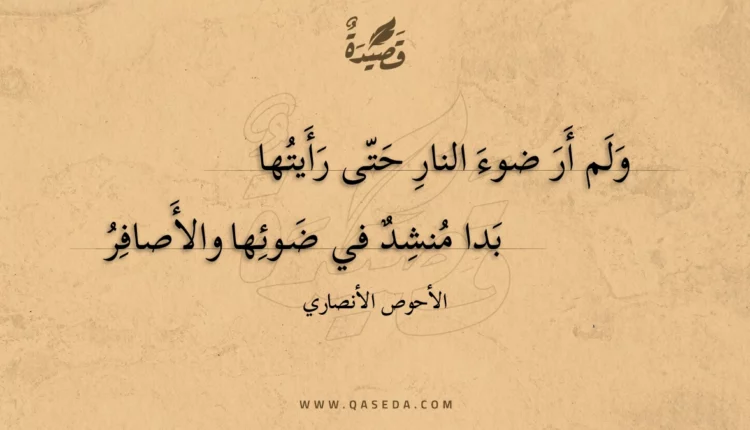 قصيدة ولم أر ضوء النار حتى رأيتها