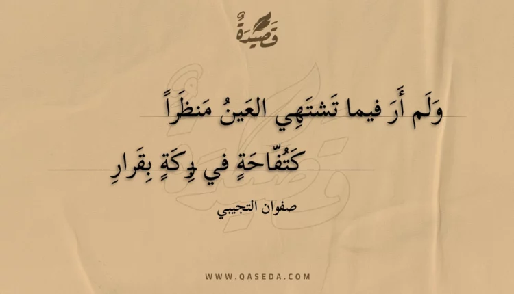 قصيدة ولم أر فيما تشتهي العين منظرا