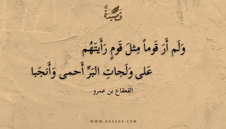 قصيدة ولم أر قوماً مثل قوم رأيتهم