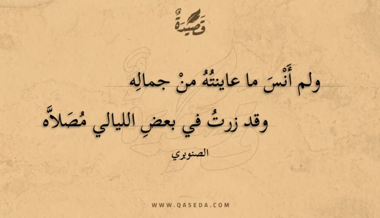 قصيدة ولم أنس ما عاينته من جماله