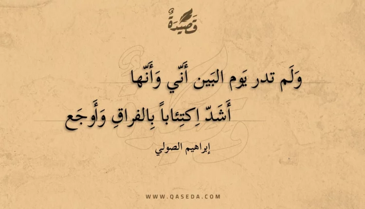 قصيدة ولم تدر يوم البين أني وأنها