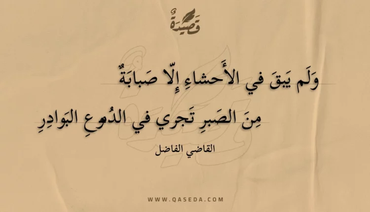 قصيدة ولم يبق في الأحشاء إلا صبابة