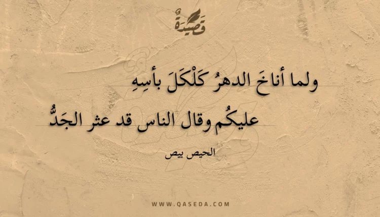 قصيدة ولما أناخ الدهر كلكل بأسه